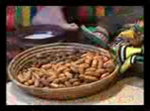 Hamimdel - chant gasba chawya - 3229