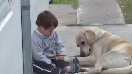 Un chien prend soin d'un enfant atteint de Trisomie!! Emouvant!