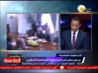 تفاصيل لقاء د. نبيل فهمي وكاترين آشتون .. السفير بدر عبد العاطي