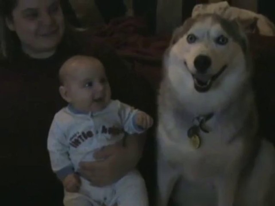 Babysitter and Dog - Funny Videos at Fully :)(: Silly