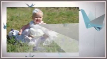 Plan My Baby Download - Plan My Baby Prince Or Princess Program