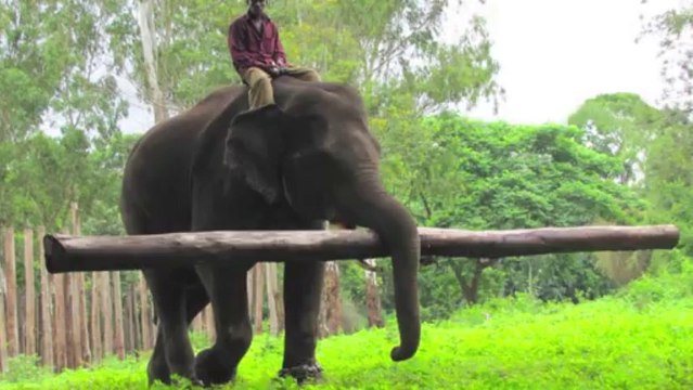 My Dad by michael hermiston (original)