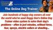 Boxer Training - The Online Dog Trainer