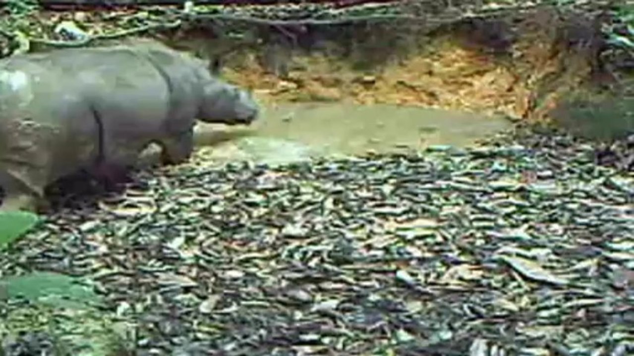 Um flagrante de vida