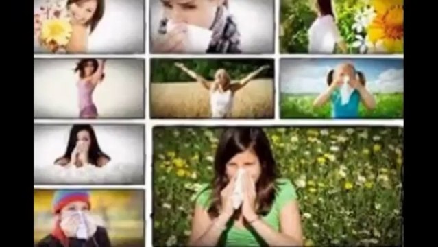 The Autoimmunity Bible & Norton Protocol | The Autoimmunity Bible