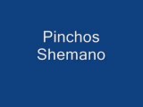 Pinchos Shemano loan 