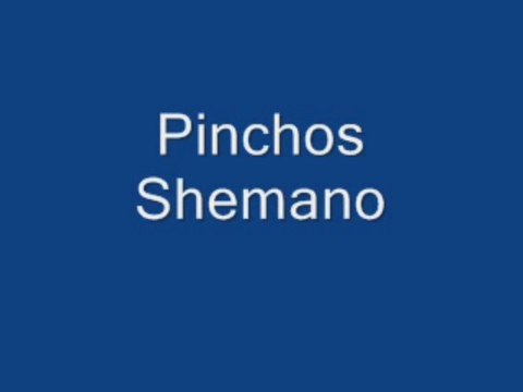 Pinchos Shemano loan pinchos shemano