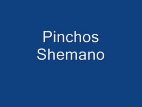 pinchos shemano lawsuit pinchos shemano