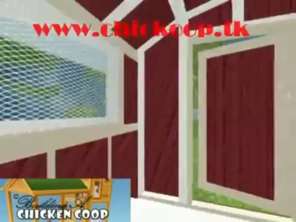 Building A Chicken Coop