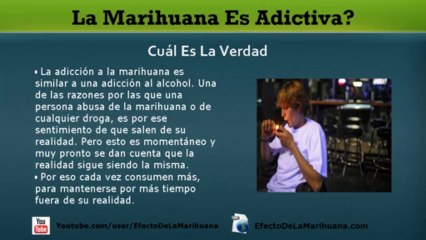 La Marihuana Es Adictiva - Es Cierto Que Se Puede Consumir La Marihuana Sin Que Sea Adictiva