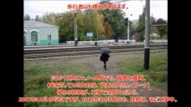 2013年09月ウクライナで韓国製の列車が故障続き10 ヒュンダイ