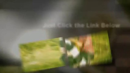 The Magic of Making Up Reviews