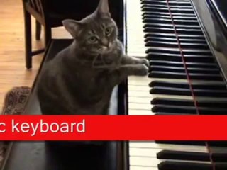 Rocket Piano Review and Tips