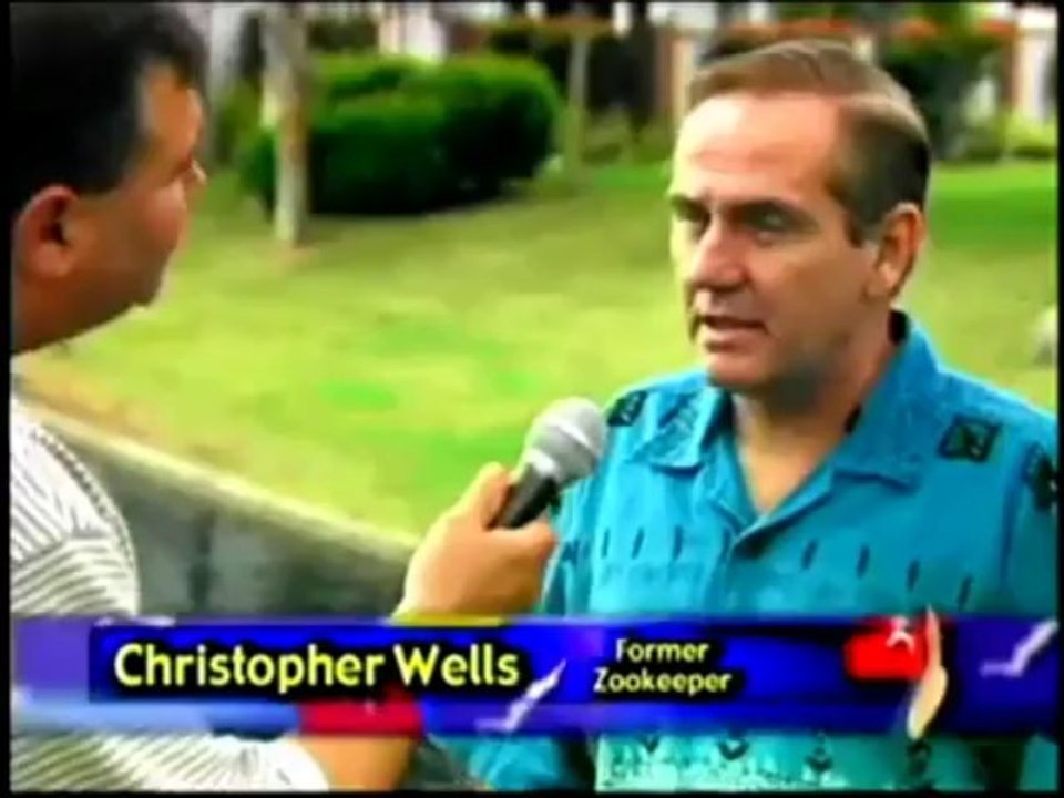 Good Feet Store foot pain plantar fasciitis relief Sacramento CA heel orthotics arch supports