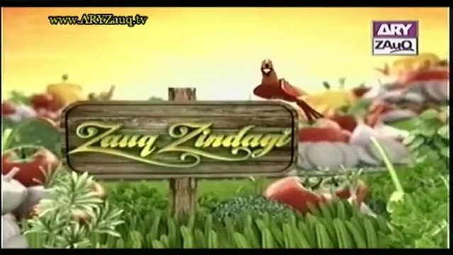 Zauq Zindagi with Sara Riaz and Dr. Khurram Musheer, Nawabi Qorma, Pizza Pouch & Instant Kulfi, 2-10-13, part 1 of 2