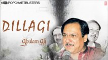 Ghulam Ali - Tera Milna Bahut Achchha Lage Hai - Super Hit Ghazals 'Dillagi' Album