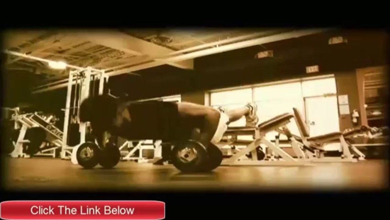 Vince Delmonte NO Nonsense Muscle Building