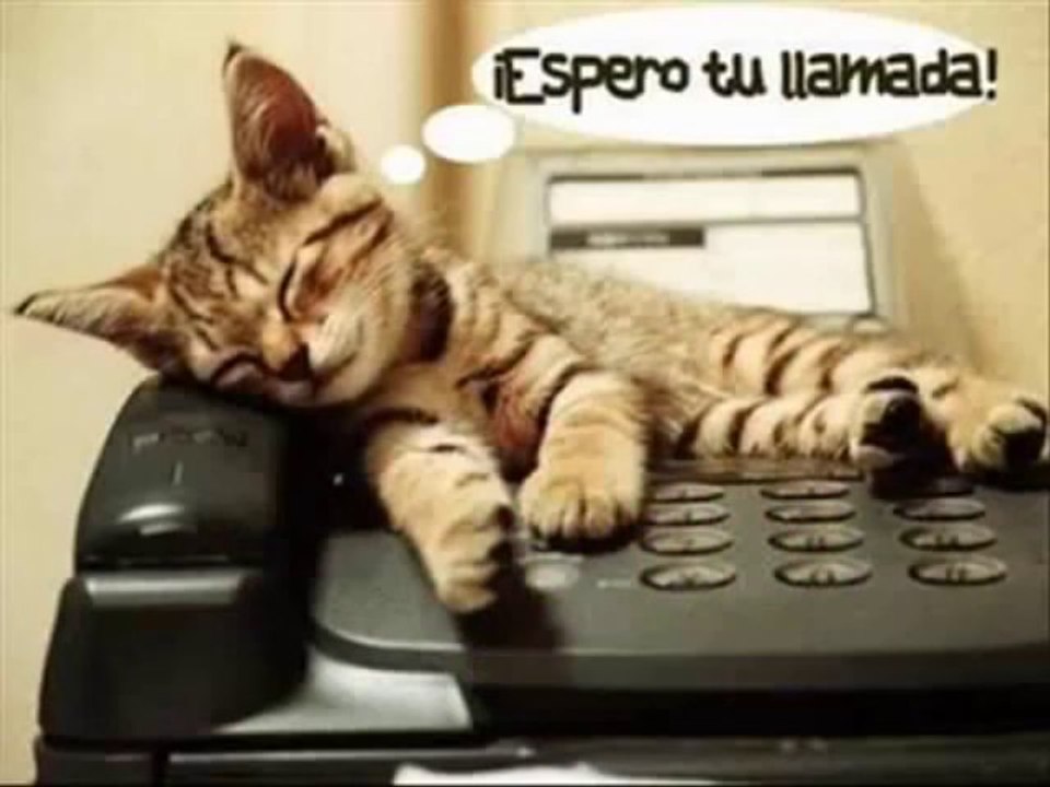20 CONSEJOS PARA OLVIDAR UN AMOR