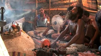 rajshastriji love problem solution baba +9988279155