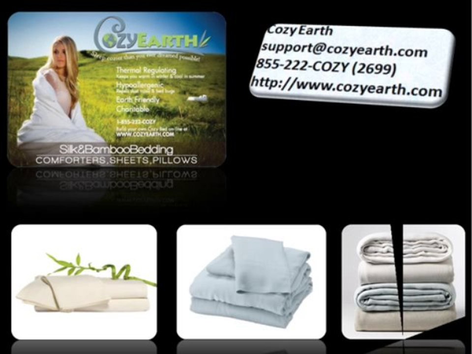 Cozy Earth Bamboo Duvet Cover