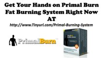 Primal Burn Fat Loss   Primal Burn Foods