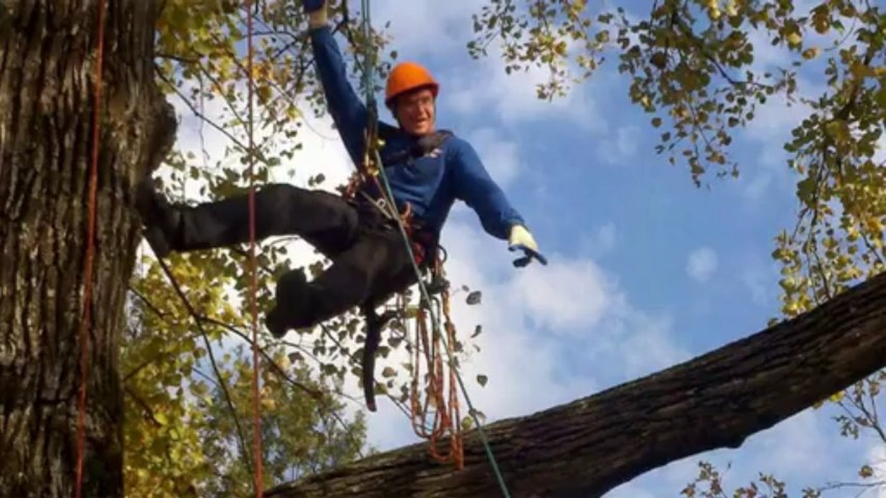 Quality Lawn Service In Bossier City & Shreveport, LA