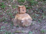 LE BOIS DE FONTAINE de Saint Vincent de Tyrosse dans Les Landes