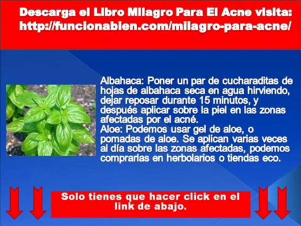 Descarga Milagro Para El Acne Libro PDF
