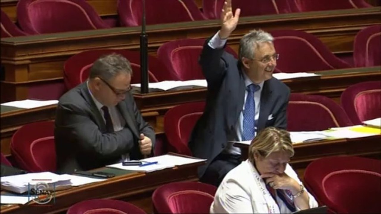 PJL modernisation de l'action publique territoriale et d'affirmation des métropoles 27