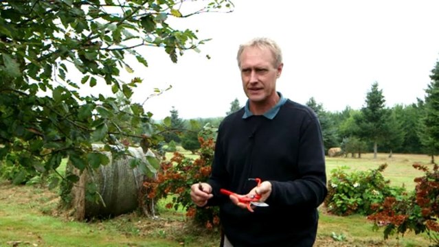 L'utilisation du sécateur