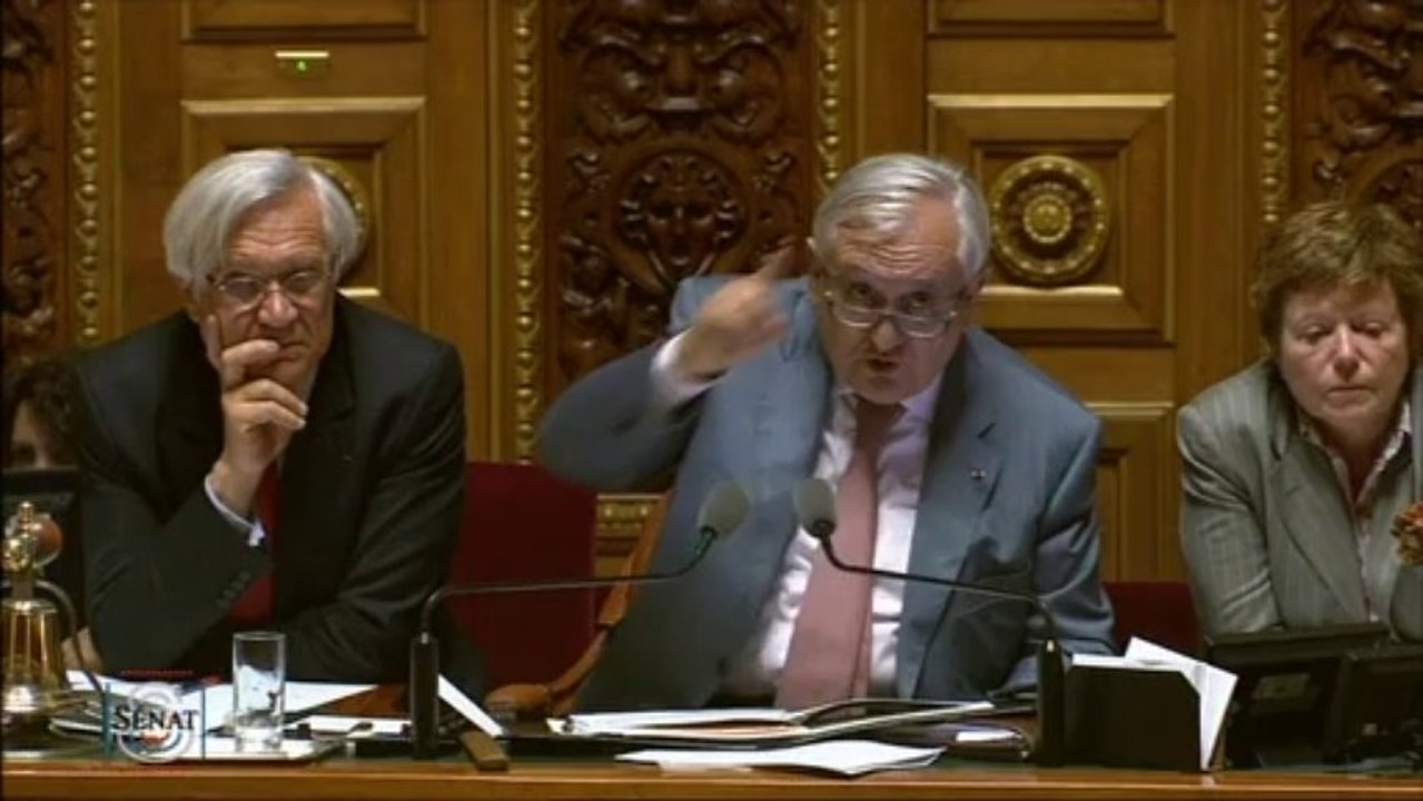 PJL modernisation de l'action publique territoriale et d'affirmation des métropoles 29