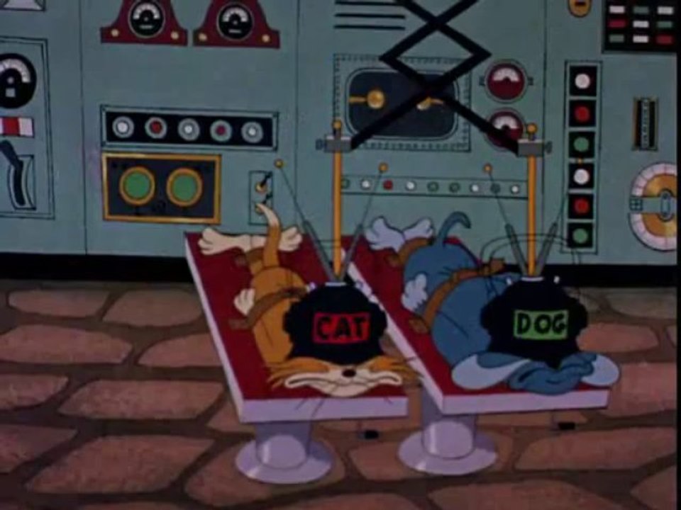 115_Switchin_039_Kitten_1961