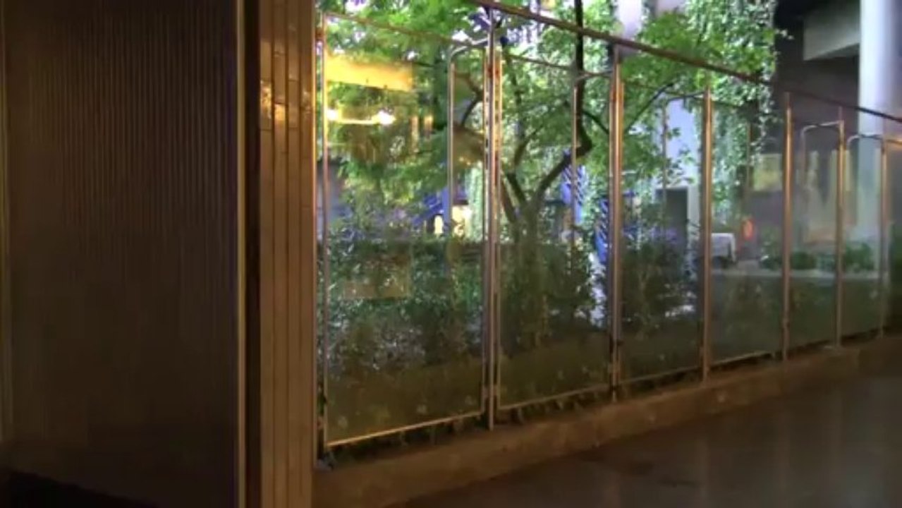 Videotest Sony HDR-CX730E (modo LP - O.I.S. ON - crepuscolo)