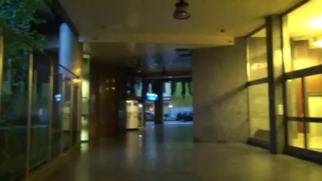 Videotest Sony HDR-CX730E (modo FX - O.I.S. ON - crepuscolo)