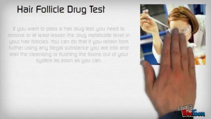 10 Truth on Pass Hair Follicle Test