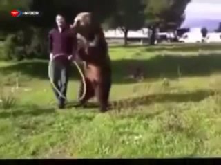 Bu Ayı bambaşka Ayı
