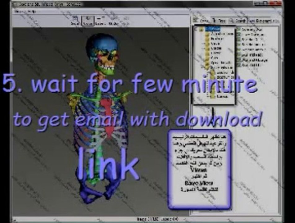 3d Human Anatomy -  Get 3D Human Anatomy Software FREE