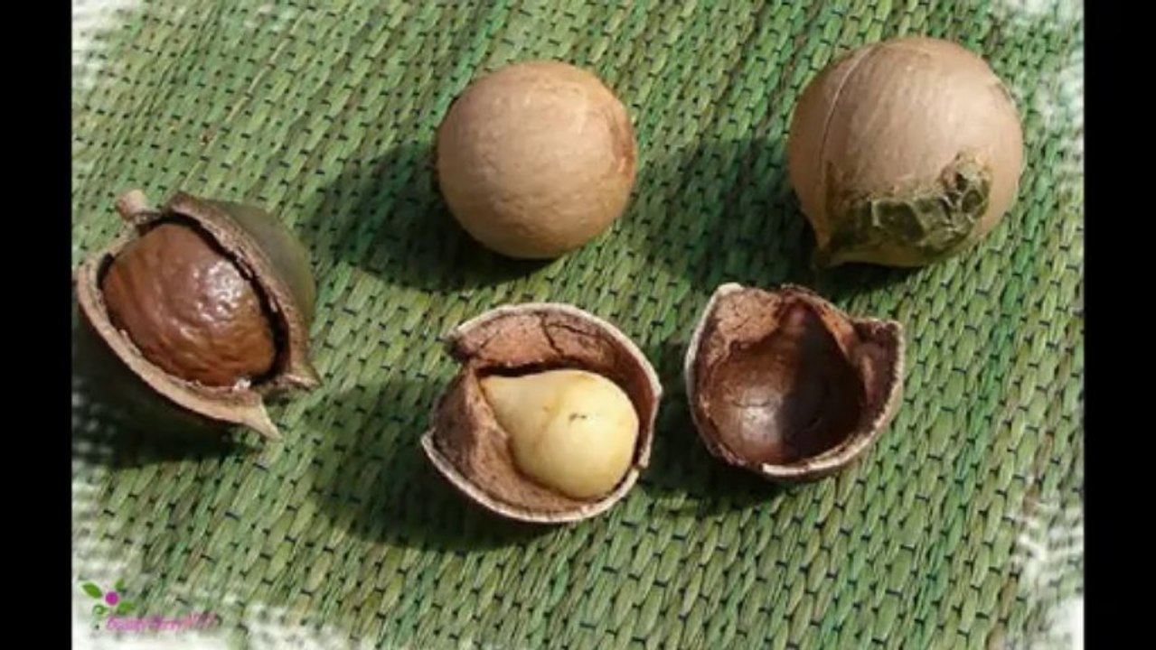 MACADAMIA NATURAL OIL Deep Repair Masque