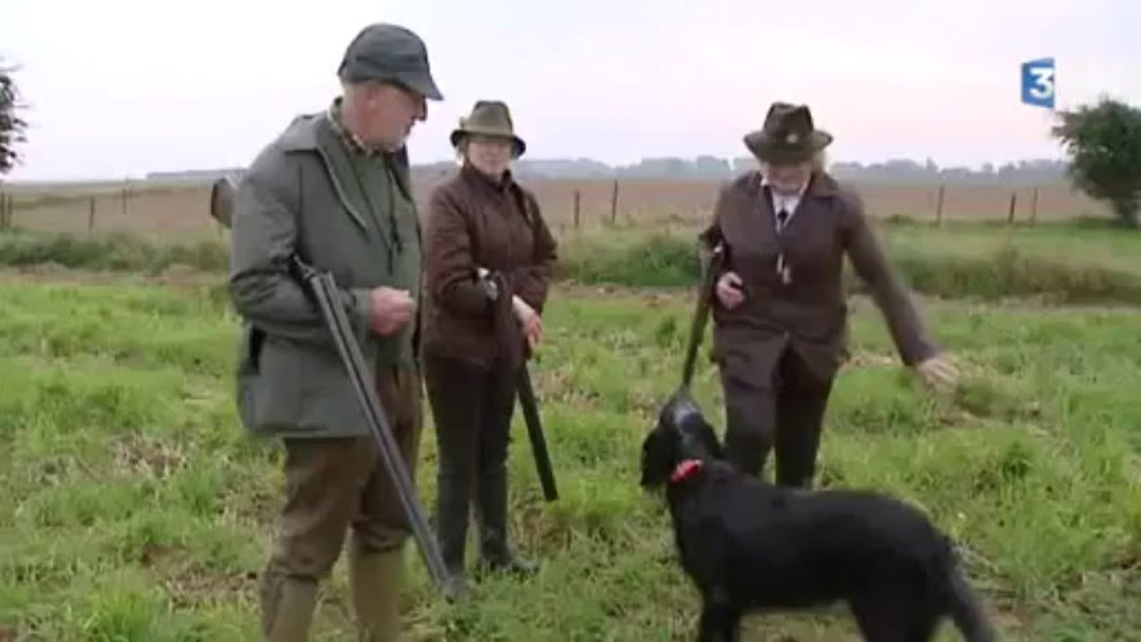 Ouverture de la chasse en plaine dans le département de la Somme