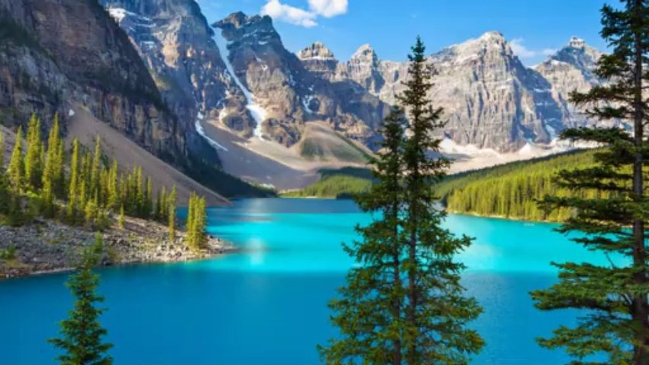 OXYGENE TERRESTRE & VIVANT