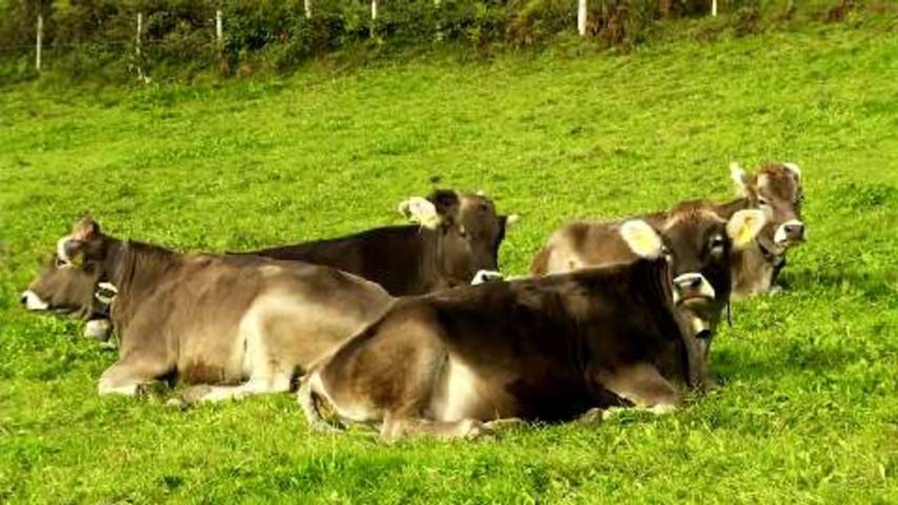 Heimat unter Strom - Trailer (Deutsch) HD