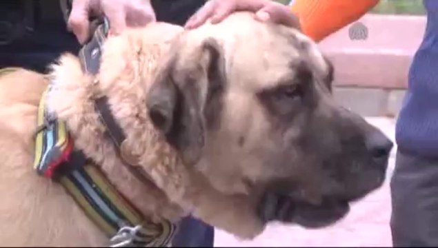 1,5 tonluk aracı çekti