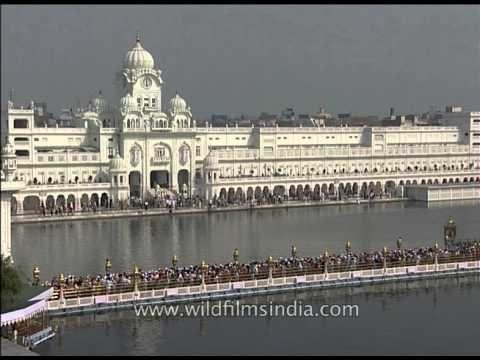Devotees taking holy dip in sarovar of Golden Temple