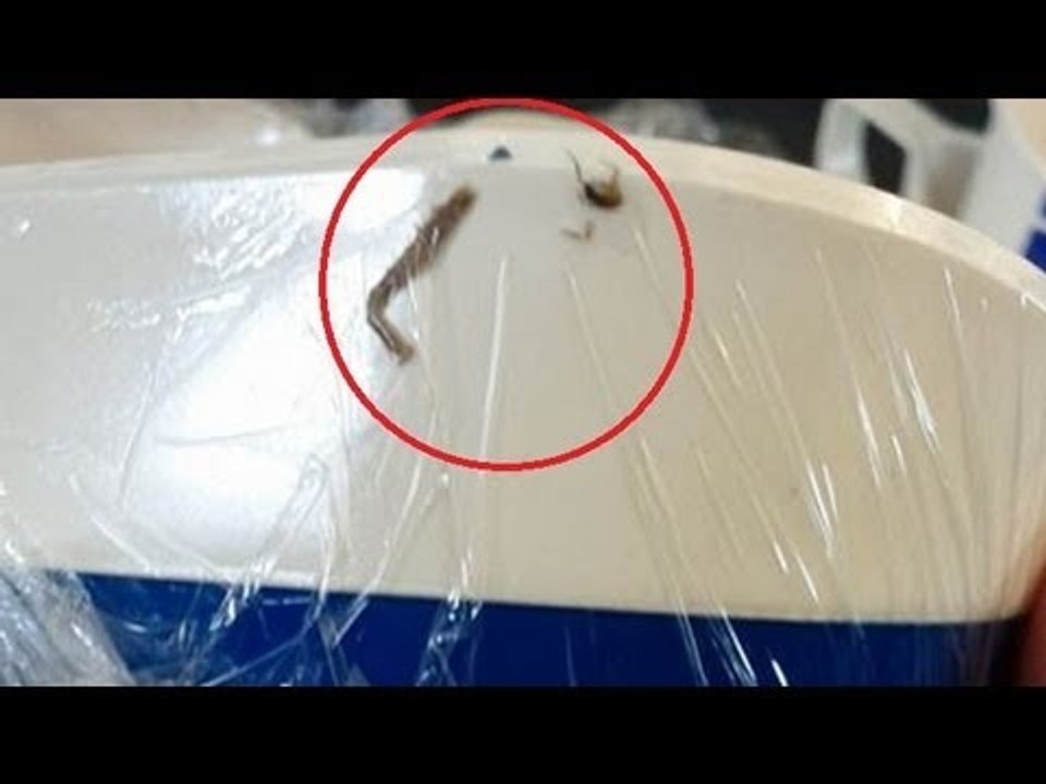 EW! Cockroach found in Bangkok Airways airplane food