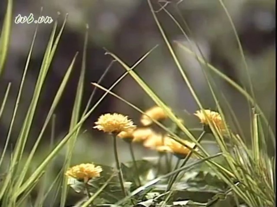 oshin132