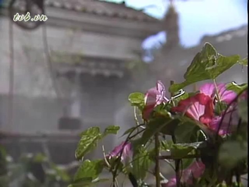 oshin140