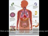 Human Anatomy And Physiology Books Elaine n Marieb - Anatomy Study Course Online College