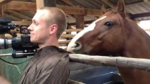 Funny interview with horse hitting on the cameraman!!!