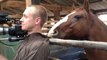 Un caméraman embêté par un cheval en pleine Interview!! Trop Marrant!!