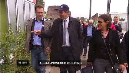 Yeşil enerjide yosun dönemi başladı